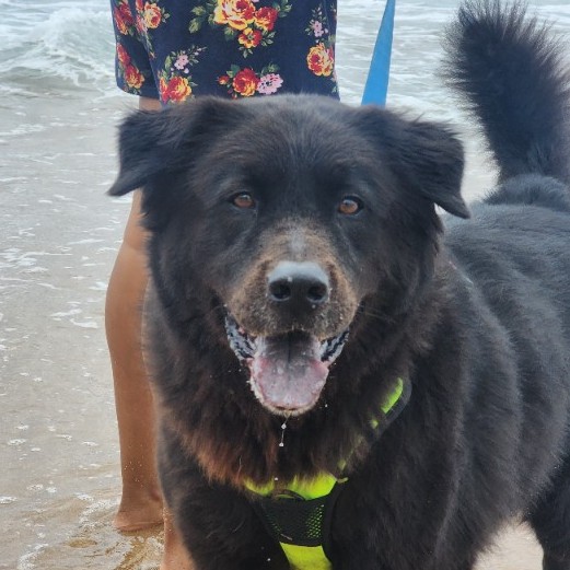 Tyson