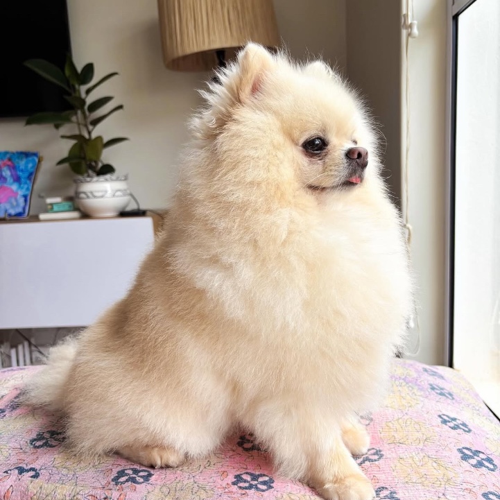 Bob