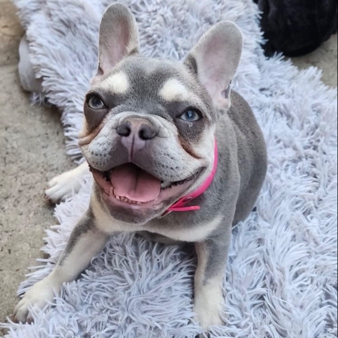 Luna
