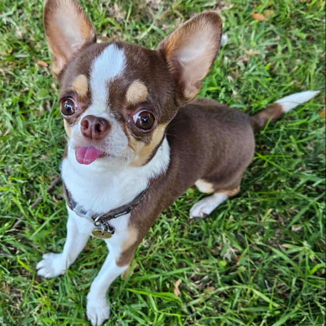 Rupert