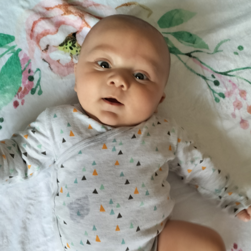 Jayden Pretorius | StarBaby South Africa 271408