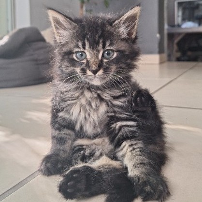 Binx