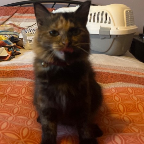 Mae