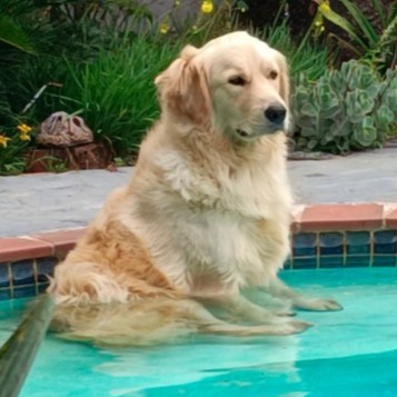 Nala