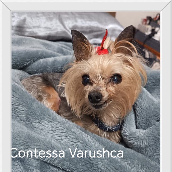 Varuschka