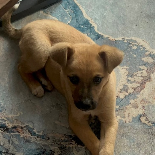 Skye