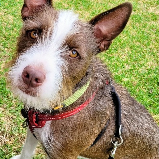 Murphy
