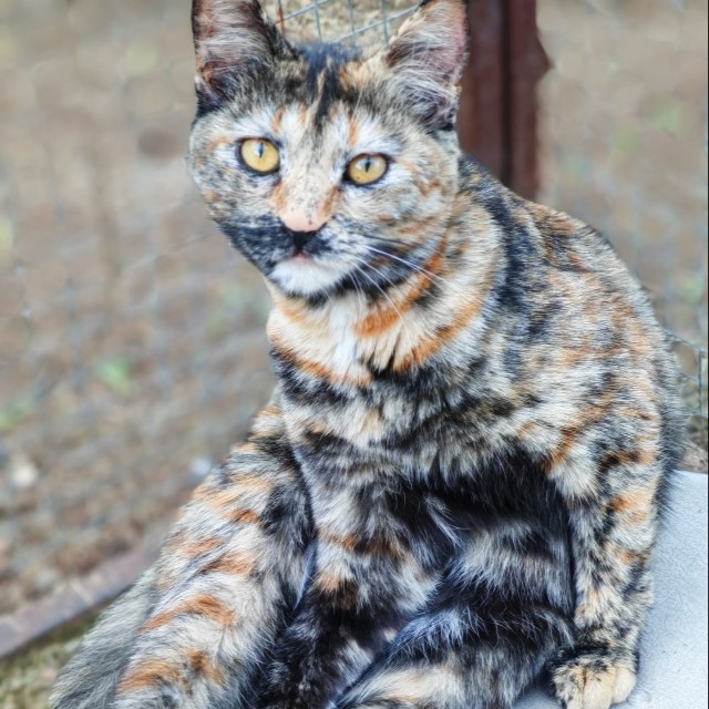 Judy-Anne 